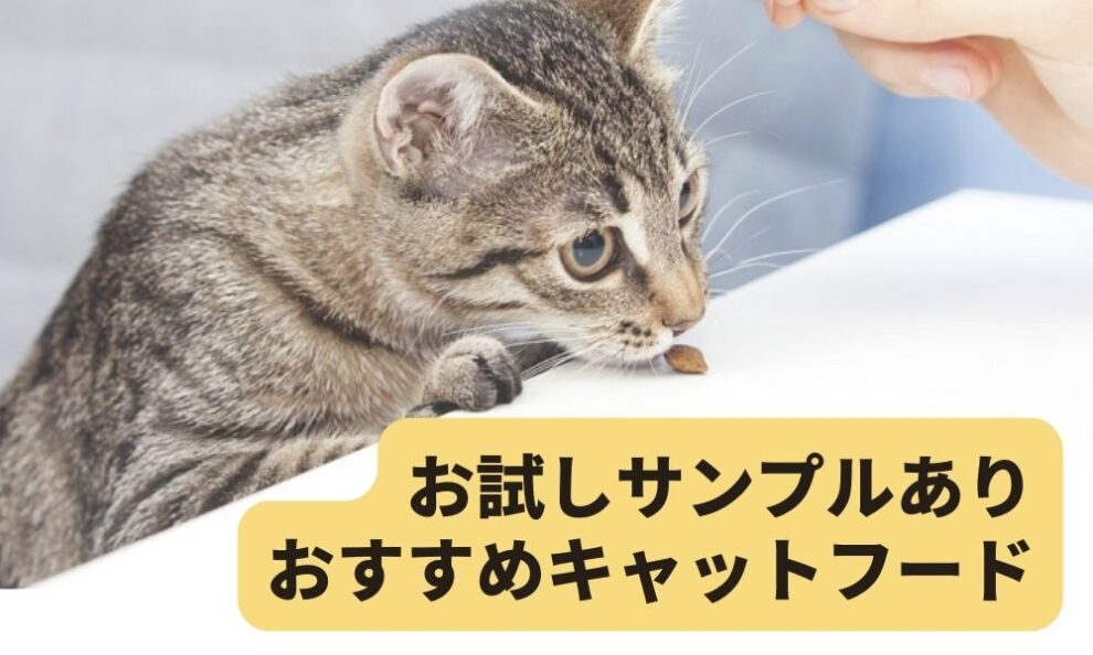 まずはお試し！トライアル・サンプルありのおすすめキャットフード12選 | キャットフードの達人